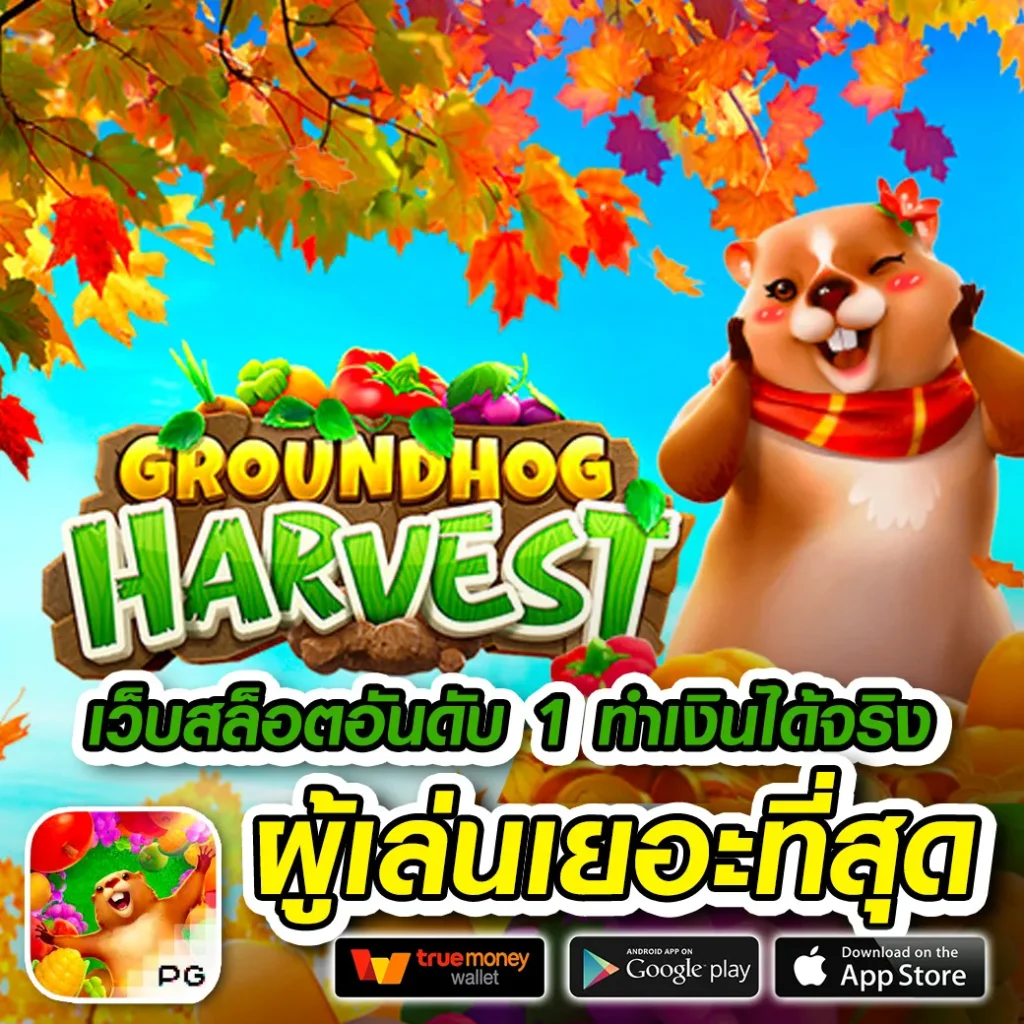 สายมู 168